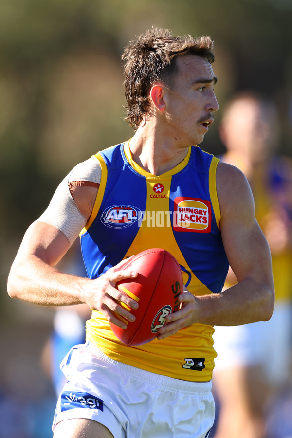 AFL 2025 Round 13 - North Melbourne v West Coast - A-59899621