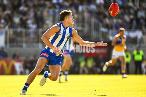 AFL 2025 Round 13 - North Melbourne v West Coast - A-59901888