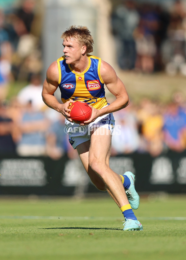 AFL 2025 Round 13 - North Melbourne v West Coast - A-59901948