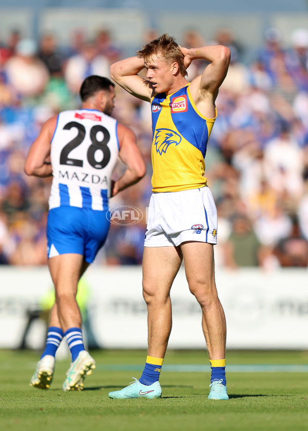 AFL 2025 Round 13 - North Melbourne v West Coast - A-59901949