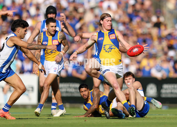 AFL 2025 Round 13 - North Melbourne v West Coast - A-59901953