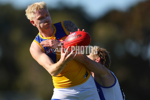 AFL 2025 Round 13 - North Melbourne v West Coast - A-59902336