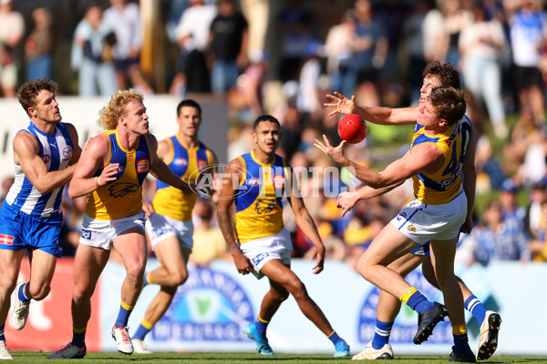 AFL 2025 Round 13 - North Melbourne v West Coast - A-59902344