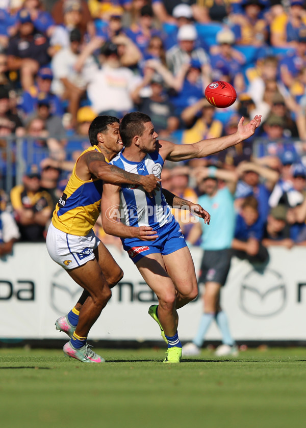 AFL 2025 Round 13 - North Melbourne v West Coast - A-59902373