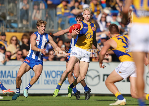 AFL 2025 Round 13 - North Melbourne v West Coast - A-59902385