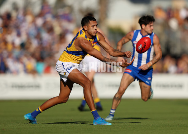 AFL 2025 Round 13 - North Melbourne v West Coast - A-59904852