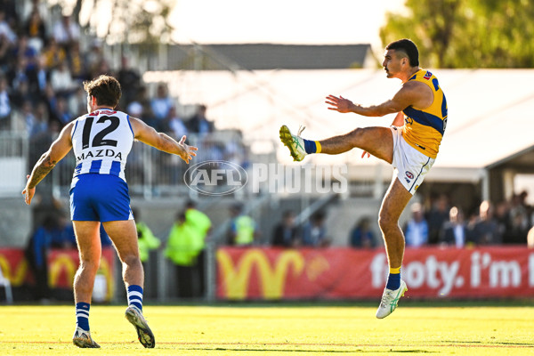 AFL 2025 Round 13 - North Melbourne v West Coast - A-59904862