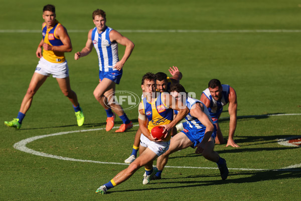 AFL 2025 Round 13 - North Melbourne v West Coast - A-59904916