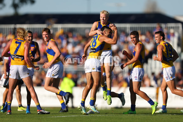 AFL 2025 Round 13 - North Melbourne v West Coast - A-59906539