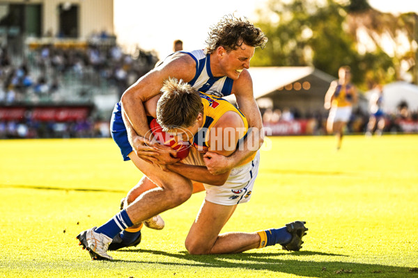 AFL 2025 Round 13 - North Melbourne v West Coast - A-59906578