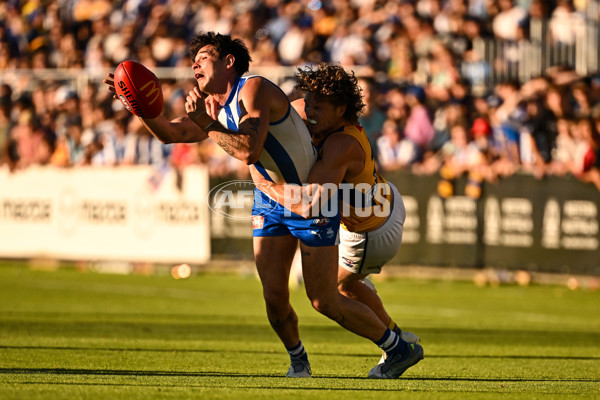 AFL 2025 Round 13 - North Melbourne v West Coast - A-59908618
