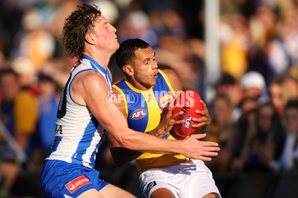 AFL 2025 Round 13 - North Melbourne v West Coast - A-59910014