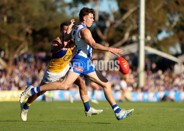 AFL 2025 Round 13 - North Melbourne v West Coast - A-59910027