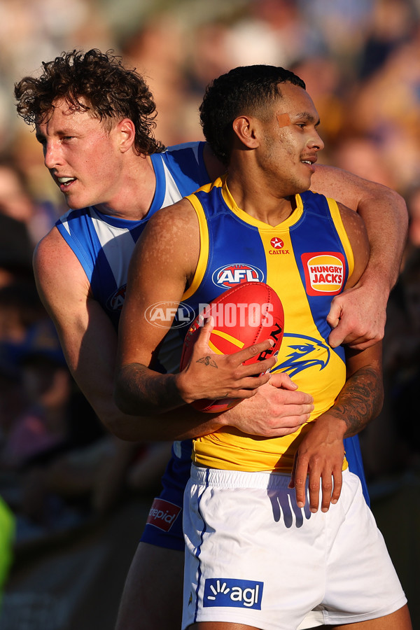 AFL 2025 Round 13 - North Melbourne v West Coast - A-59922236