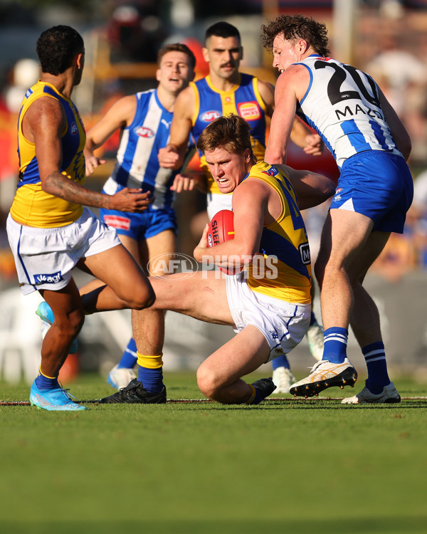 AFL 2025 Round 13 - North Melbourne v West Coast - A-59922245