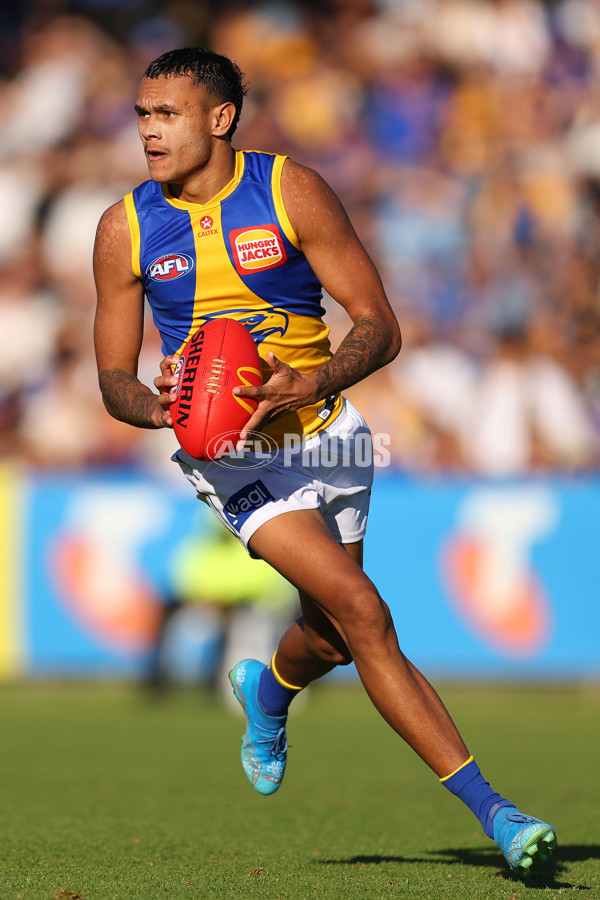 AFL 2025 Round 13 - North Melbourne v West Coast - A-59922461