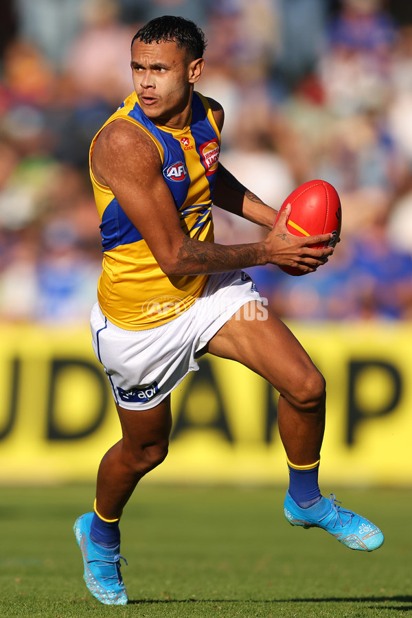 AFL 2025 Round 13 - North Melbourne v West Coast - A-59922463