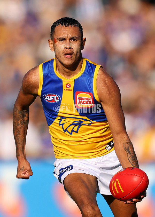AFL 2025 Round 13 - North Melbourne v West Coast - A-59922465