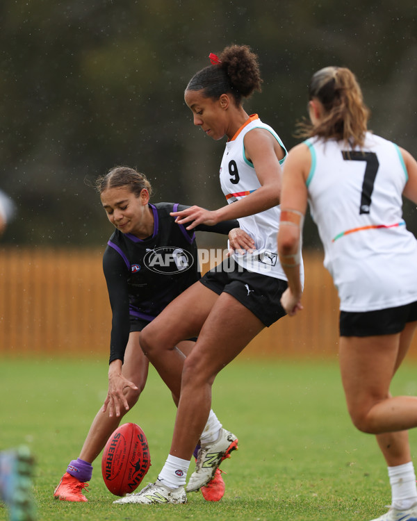 AFL Diversity Talent Program Girls 2025 - Indigenous Academy v Multicultural Academy - A-59927678