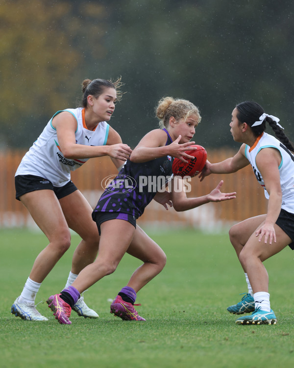 AFL Diversity Talent Program Girls 2025 - Indigenous Academy v Multicultural Academy - A-59927694