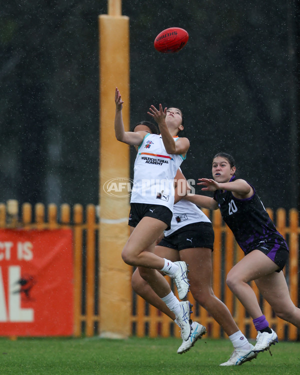 AFL Diversity Talent Program Girls 2025 - Indigenous Academy v Multicultural Academy - A-59937062