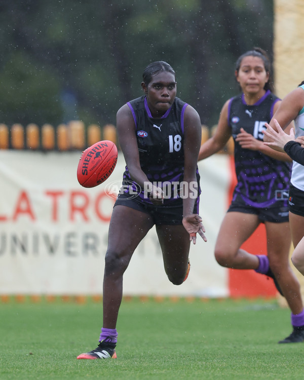 AFL Diversity Talent Program Girls 2025 - Indigenous Academy v Multicultural Academy - A-59950002