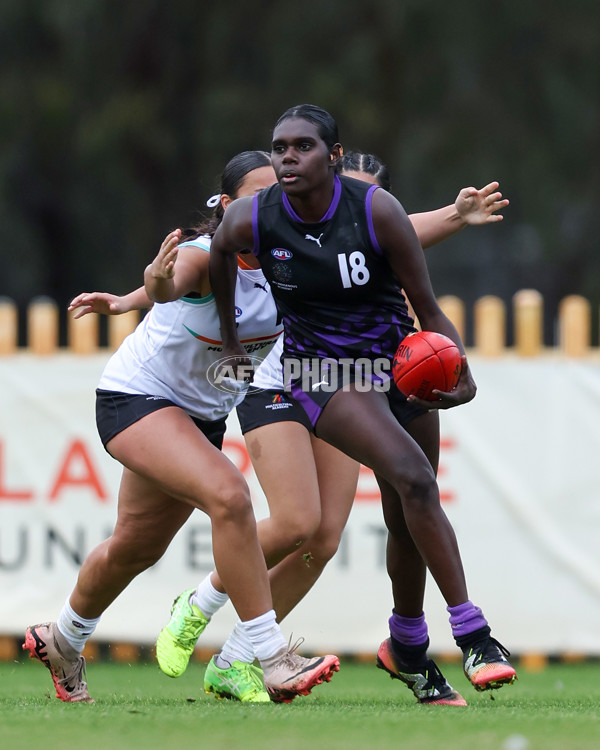 AFL Diversity Talent Program Girls 2025 - Indigenous Academy v Multicultural Academy - A-59950005
