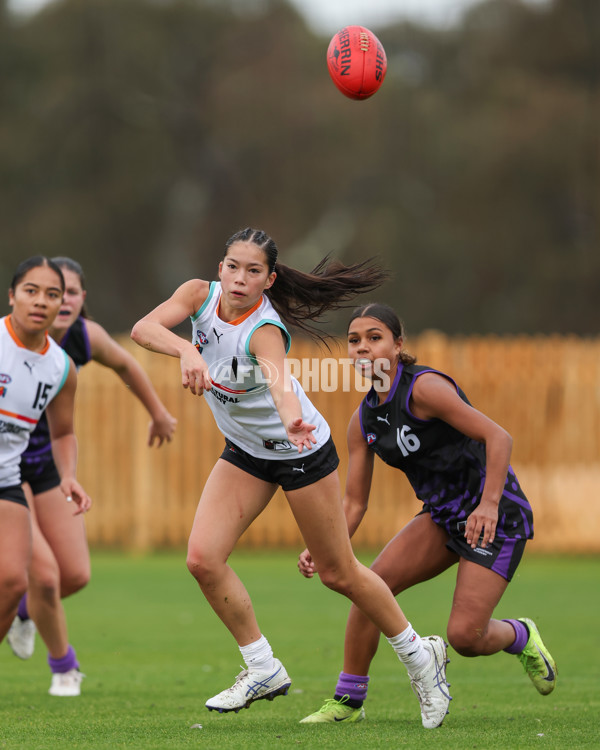 AFL Diversity Talent Program Girls 2025 - Indigenous Academy v Multicultural Academy - A-59950009