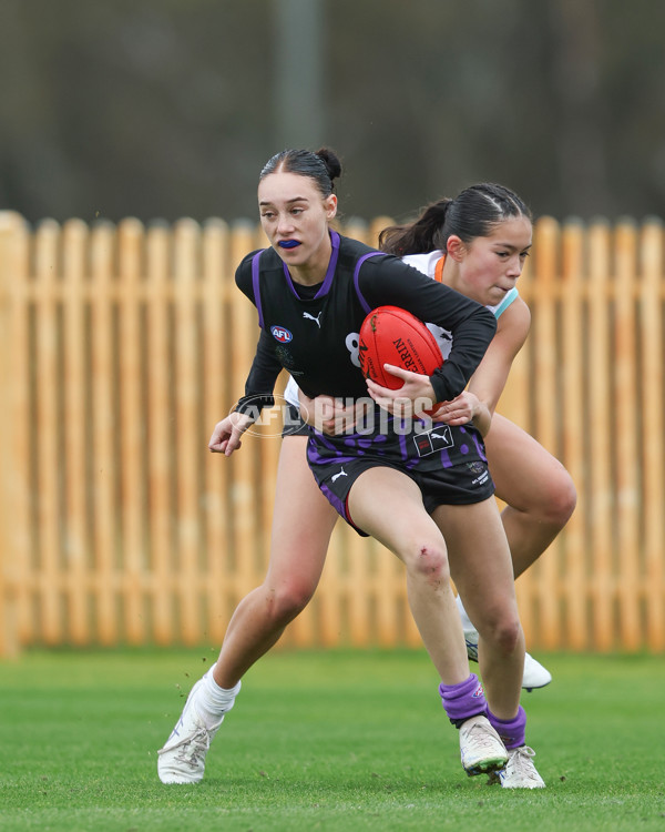 AFL Diversity Talent Program Girls 2025 - Indigenous Academy v Multicultural Academy - A-59950010