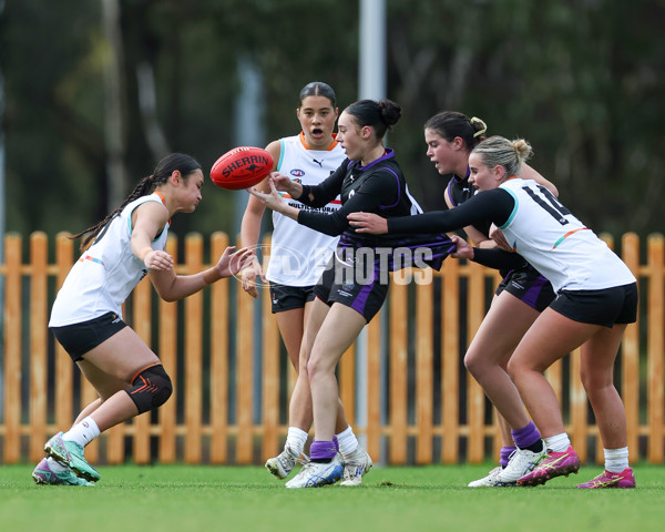 AFL Diversity Talent Program Girls 2025 - Indigenous Academy v Multicultural Academy - A-59950052
