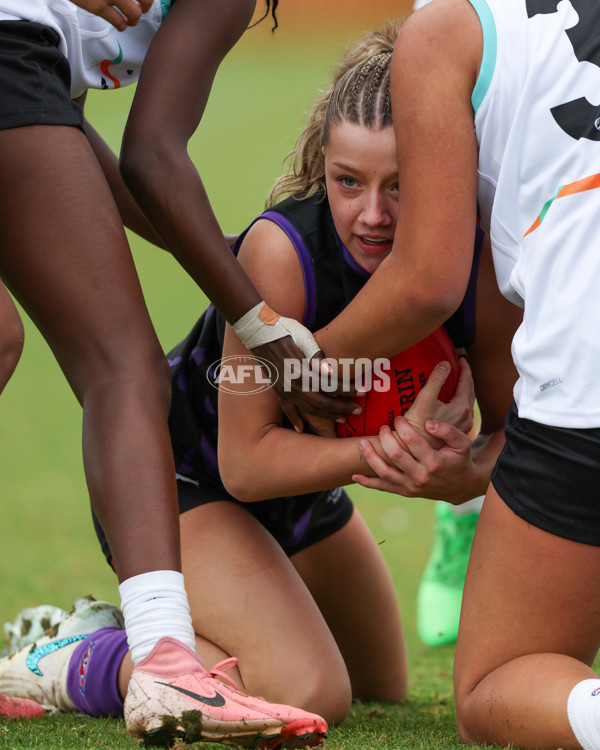 AFL Diversity Talent Program Girls 2025 - Indigenous Academy v Multicultural Academy - A-59956303