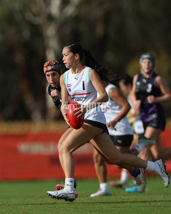 AFL Diversity Talent Program Girls 2025 - Indigenous Academy v Multicultural Academy - A-59956355