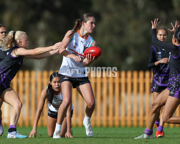 AFL Diversity Talent Program Girls 2025 - Indigenous Academy v Multicultural Academy - A-59956371