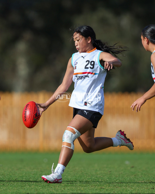 AFL Diversity Talent Program Girls 2025 - Indigenous Academy v Multicultural Academy - A-59956374