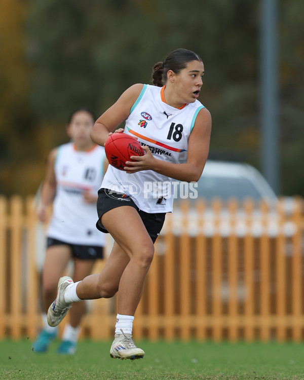 AFL Diversity Talent Program Girls 2025 - Indigenous Academy v Multicultural Academy - A-59956426
