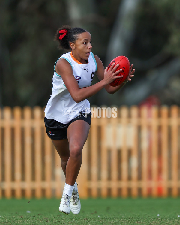 AFL Diversity Talent Program Girls 2025 - Indigenous Academy v Multicultural Academy - A-59958792