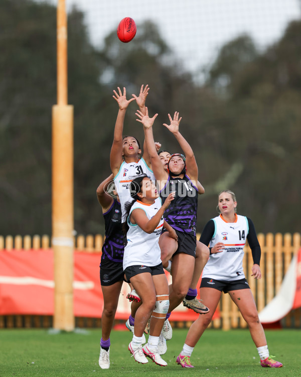 AFL Diversity Talent Program Girls 2025 - Indigenous Academy v Multicultural Academy - A-59959482