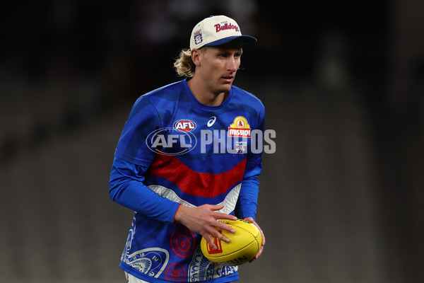 AFL 2025 Round 14 - St Kilda v Western Bulldogs - A-59995075