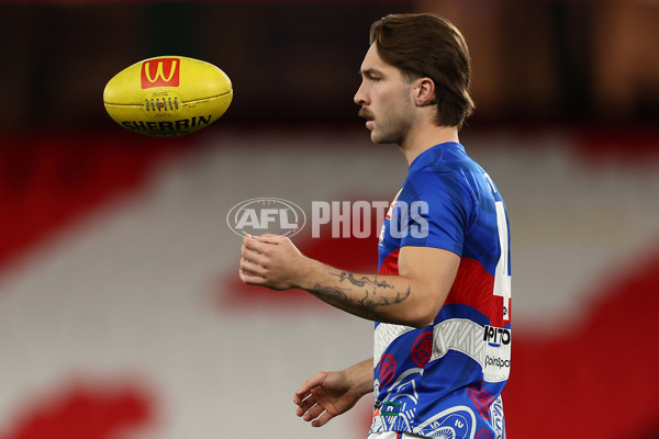 AFL 2025 Round 14 - St Kilda v Western Bulldogs - A-59995082