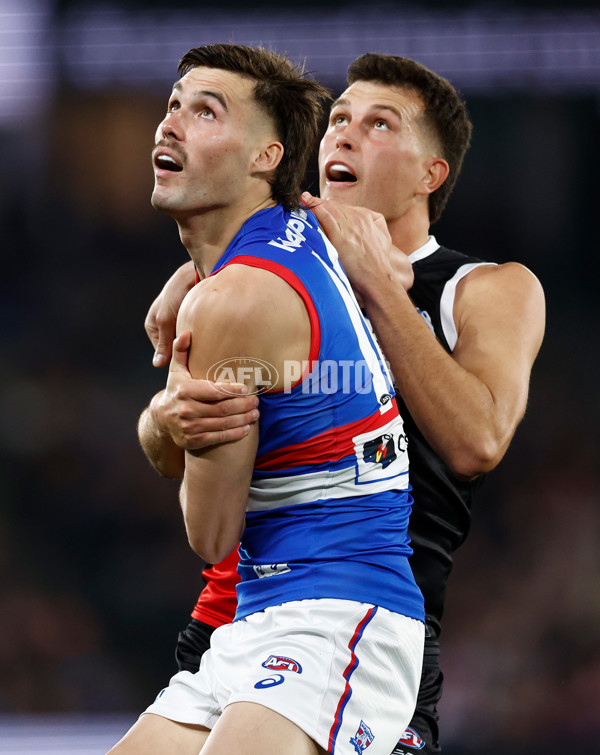 AFL 2025 Round 14 - St Kilda v Western Bulldogs - A-59995102