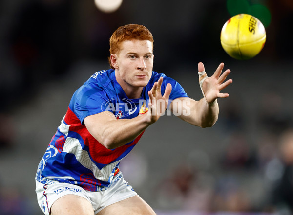AFL 2025 Round 14 - St Kilda v Western Bulldogs - A-59995229