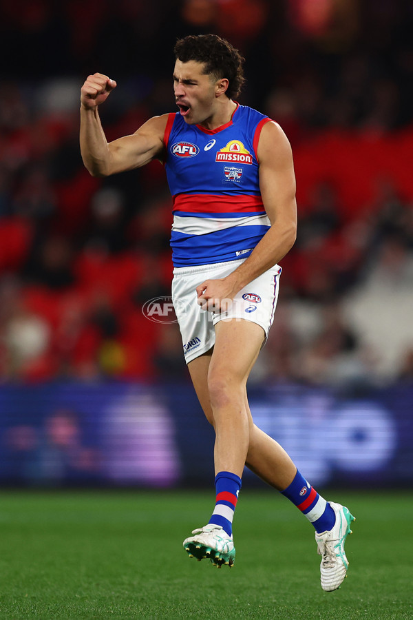 AFL 2025 Round 14 - St Kilda v Western Bulldogs - A-59997253