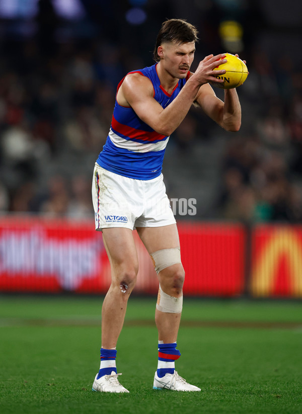 AFL 2025 Round 14 - St Kilda v Western Bulldogs - A-59997319