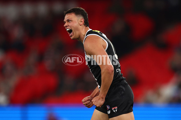 AFL 2025 Round 14 - St Kilda v Western Bulldogs - A-59997328