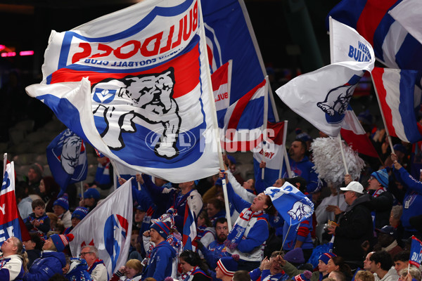 AFL 2025 Round 14 - St Kilda v Western Bulldogs - A-59997611