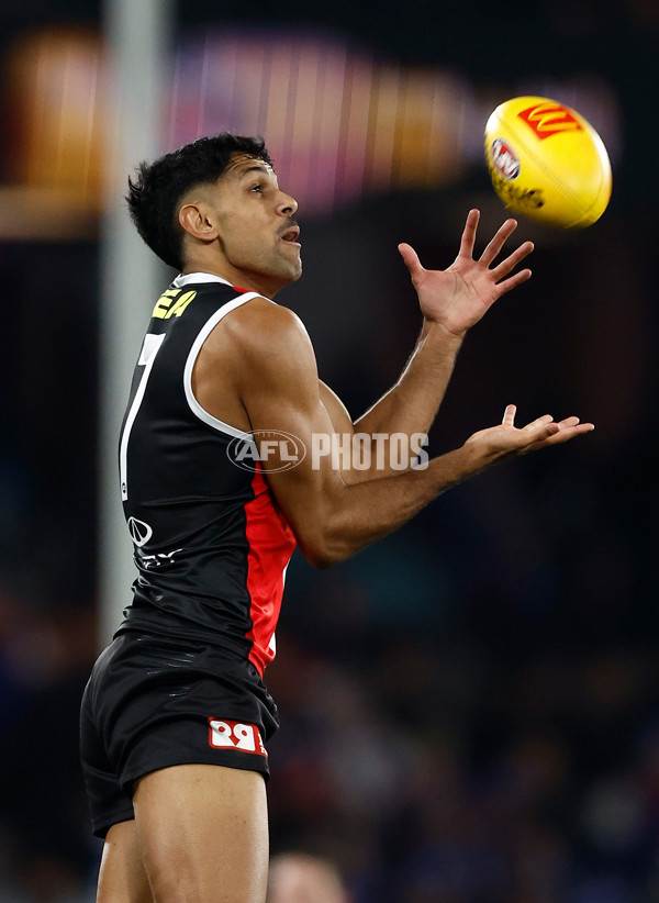 AFL 2025 Round 14 - St Kilda v Western Bulldogs - A-59997628