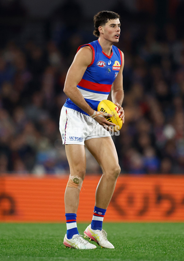 AFL 2025 Round 14 - St Kilda v Western Bulldogs - A-60000382