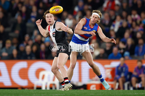 AFL 2025 Round 14 - St Kilda v Western Bulldogs - A-60000387