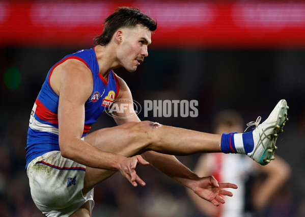AFL 2025 Round 14 - St Kilda v Western Bulldogs - A-60000388