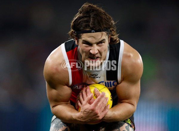 AFL 2025 Round 14 - St Kilda v Western Bulldogs - A-60000389
